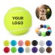 PET TOY TENNIS BALL image 2