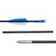 ARCHERY ARROW image 2