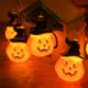 HALLOWEEN PUMPKIN LIGHTS image 2
