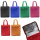 Picture of RONNIE ECO FRIENDLY EVERYDAY NON WOVEN COOL BAG