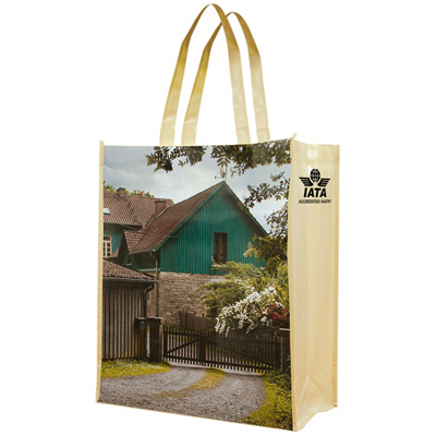 Picture of FULL COLOR SUBLIMATED PET NON-WOVEN TOTE BAG with Gusset 12.