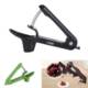 Picture of HOUSEHOLD FRUIT PITTER