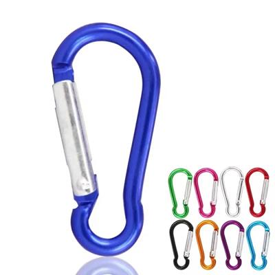 Picture of REFINED CARABINER CLIP KEYRING CHAIN