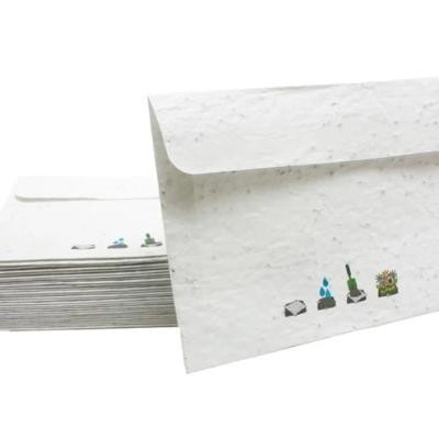 Picture of CUSTOM PRINTED SEEDED PAPER ENVELOPES A6 & C6